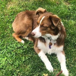 Meet your Posher, Rhonda